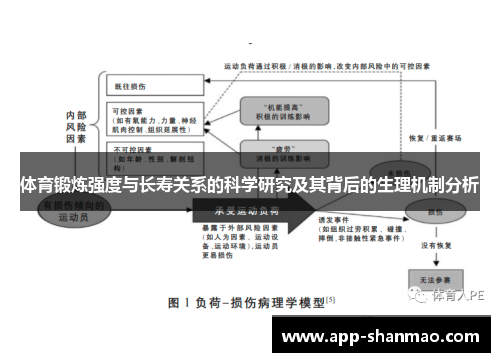 体育锻炼强度与长寿关系的科学研究及其背后的生理机制分析