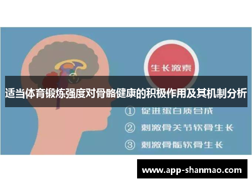 适当体育锻炼强度对骨骼健康的积极作用及其机制分析